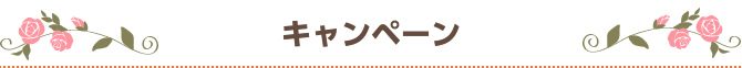 キャンペーン チャットレディー ライブチャット アルバイト