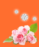 セシルライブチャットセンター チャットレディー ライブチャット アルバイト