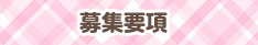 募集要項 チャットレディー ライブチャット アルバイト